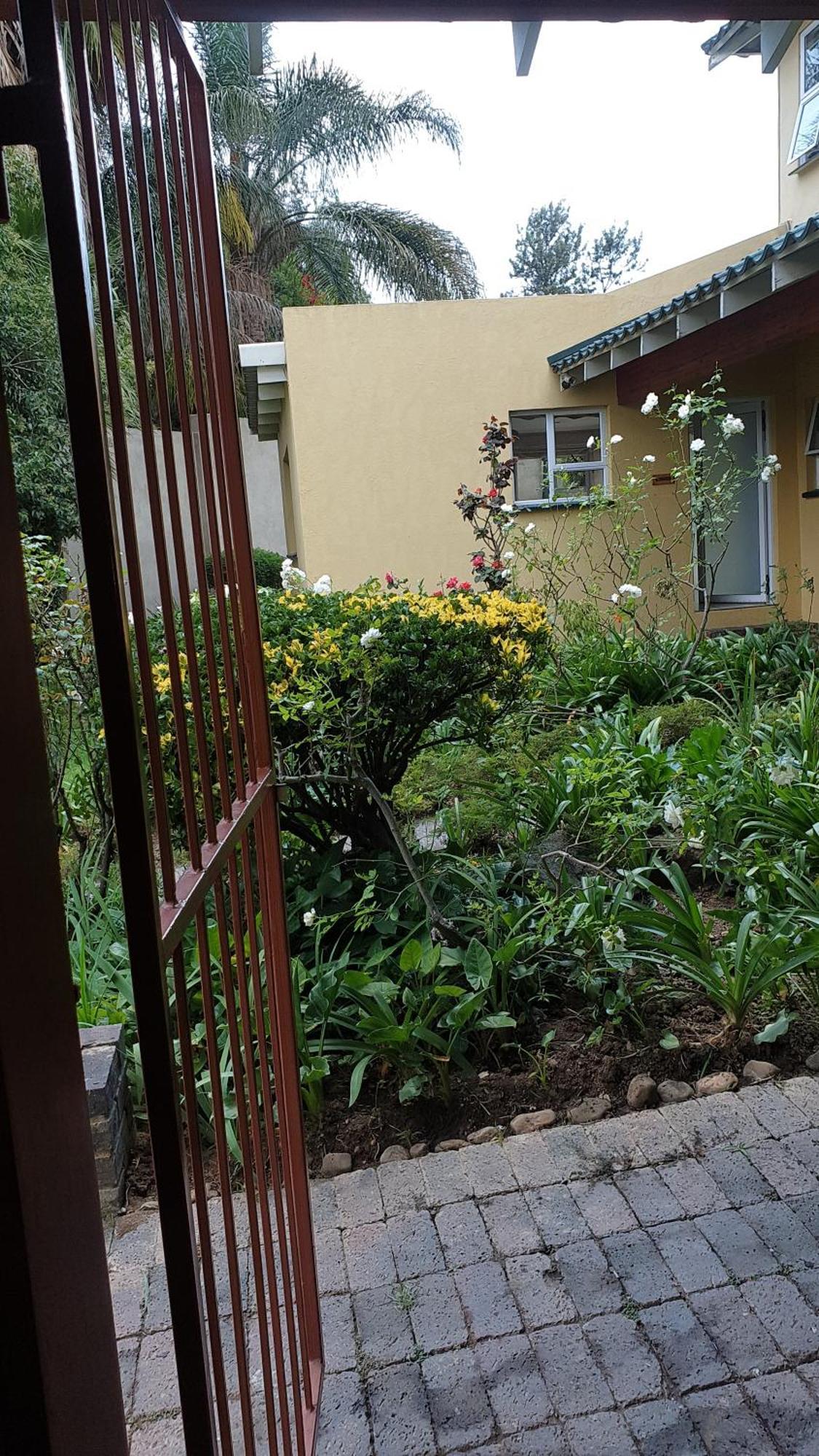 Matina Guest House Johannesburg Rom bilde